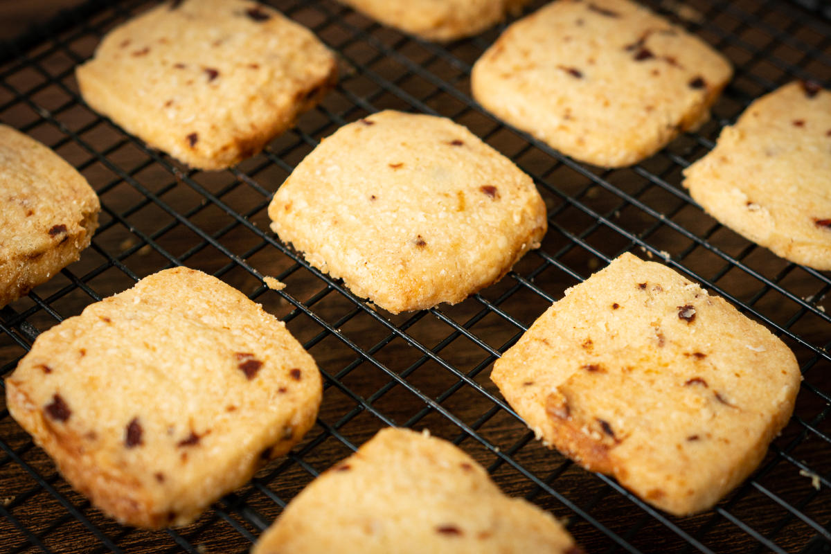 如何选一款最实用的烤箱,烤箱入门款新手推荐