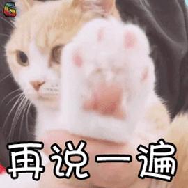 猫怎么越长越丑,为什么猫长得越丑越受欢迎