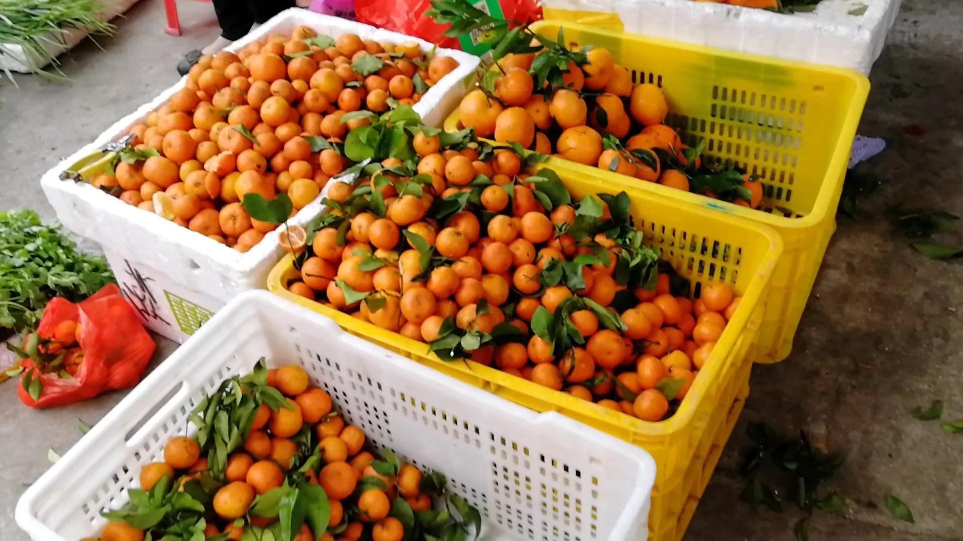 阳江海陵岛白蒲镇海鲜市场,海陵岛白蒲镇有什么好玩的地方