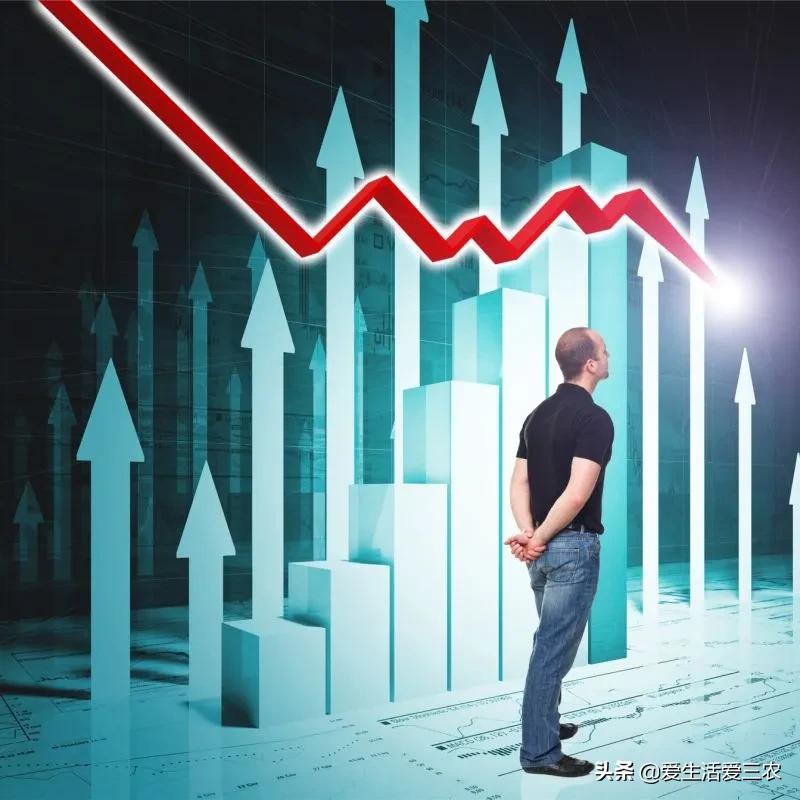 在农村干什么能赚10万左右,在农村做什么生意赚钱月赚50