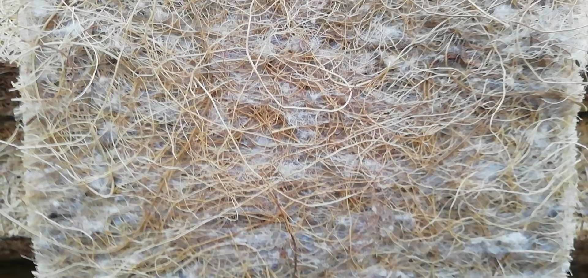 床垫哪种品牌好用又实惠,床垫要选什么床垫比较好呢