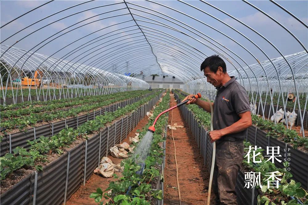 刘博士教种地,刘博士生涯规划