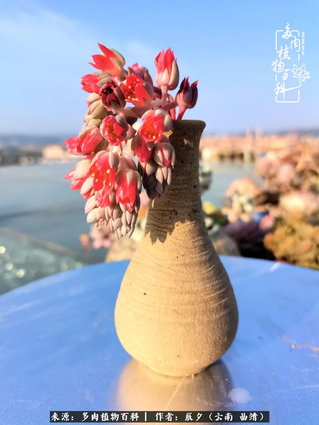 缂辩换鏃栨棊钁宠暏鐢熼,缂辩换鏃栨棊钁宠暏鐢熼鍑哄