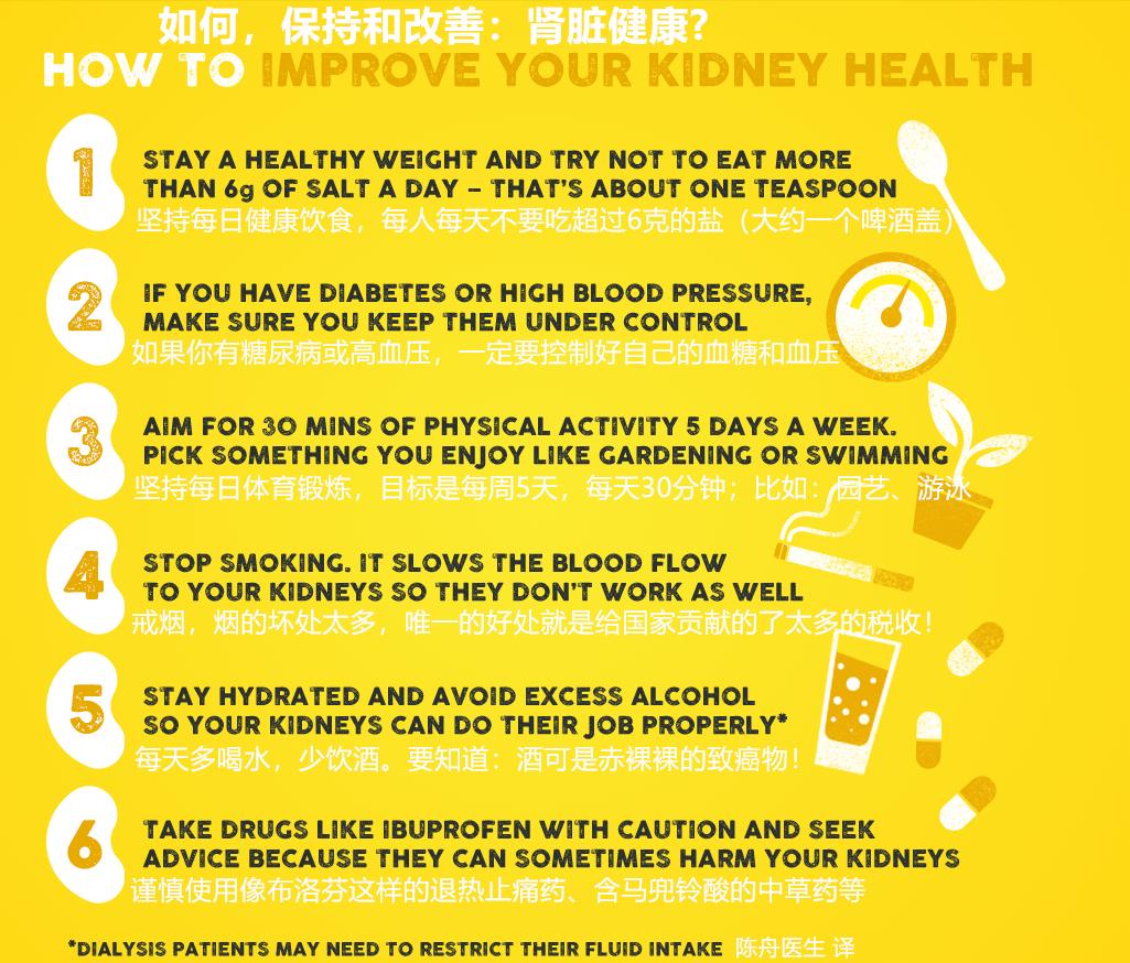 肾脏的健康与保护,关爱肾脏健康从现在做起