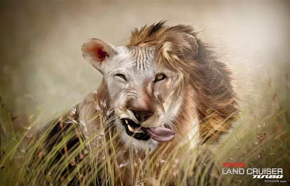 那些让你意想不到的广告创意,创意广告怎么做才能吸引人