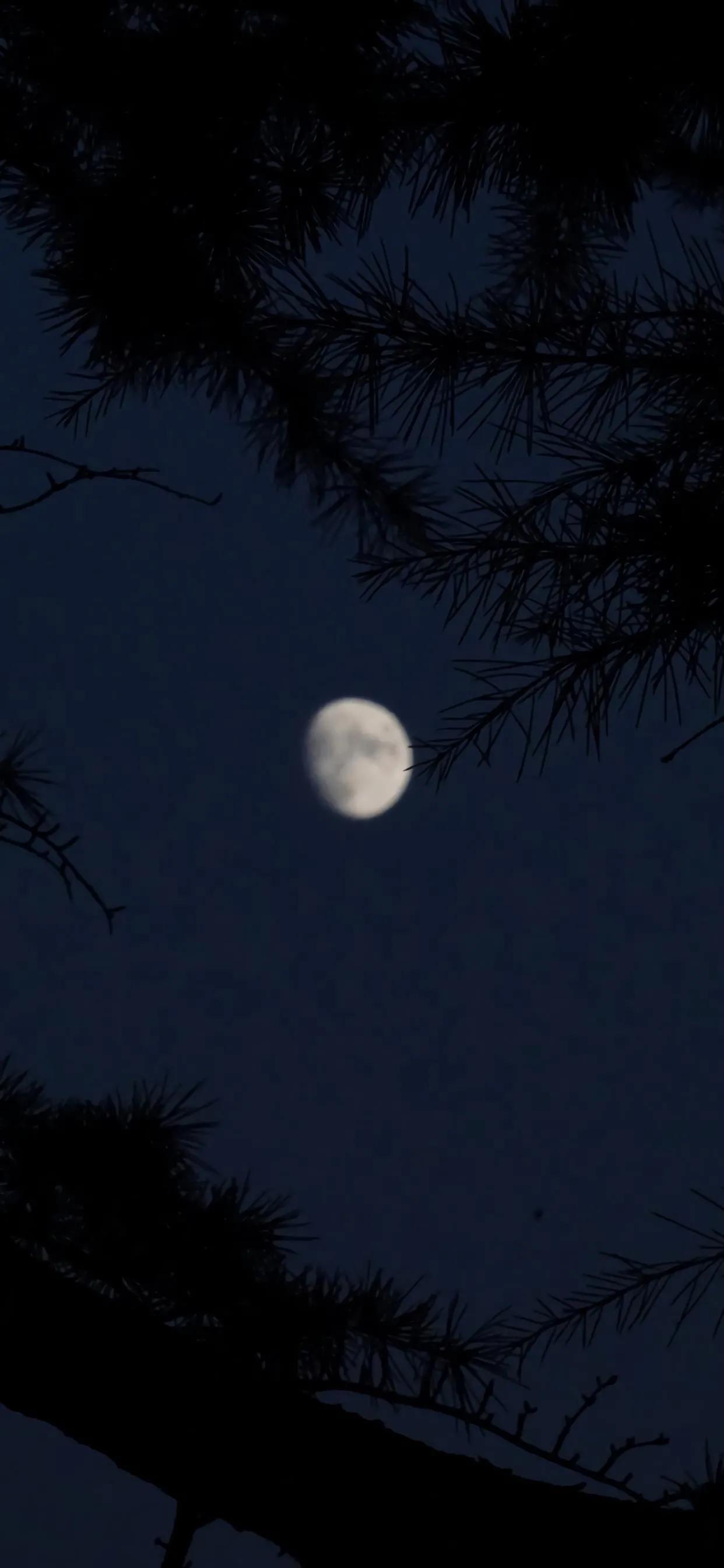 社会潜规则全集,常见的社会潜规则