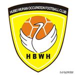 企业队名已成过去致敬那些曾经支撑武汉职业足球的企业