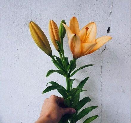 简短精辟的个性签名语录,个性签名经典语录精辟的短句