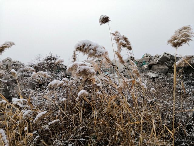 一块砖头小说,一篇短篇小说