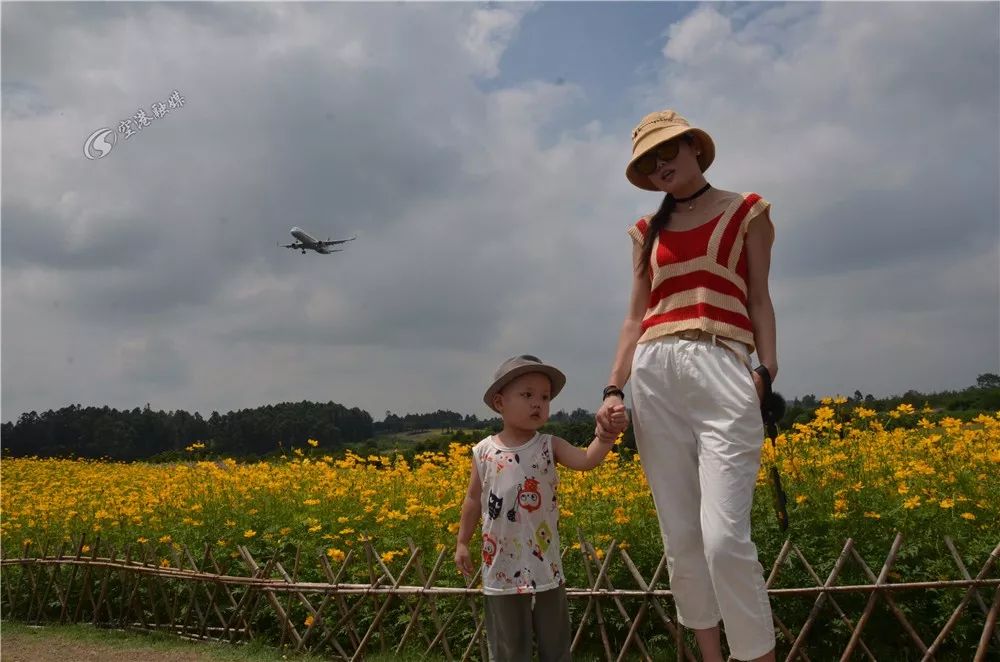 成都空港花田什么时候去最好看,双流空港花田这两天去好耍不