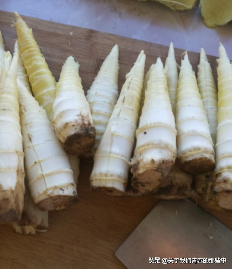 春笋怎样保存时间更长更好吃,鲜春笋怎样做能长期保存