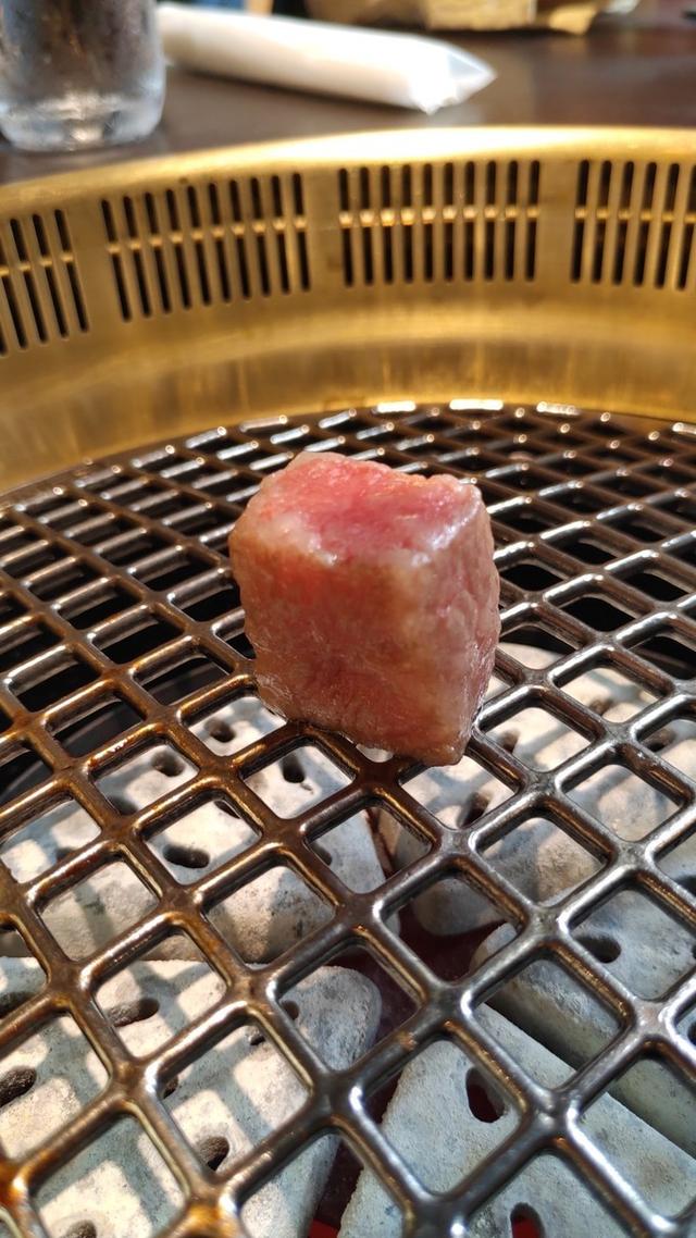 景点打卡日本名古屋乐高公园,日本名古屋乐高公园