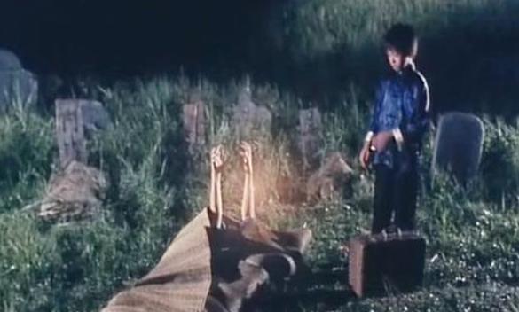 国内鬼片推荐恐怖前十名不烧脑,哪些鬼片既好看又恐怖的