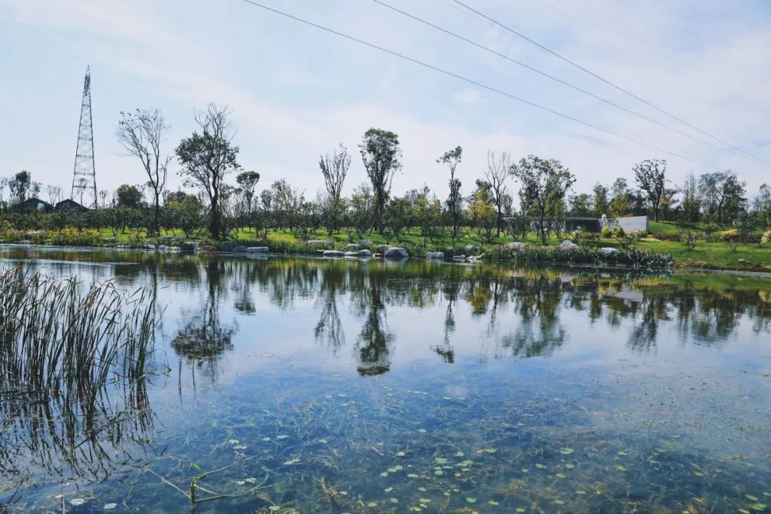 成都周末遛娃游推荐,遛狗公园成都