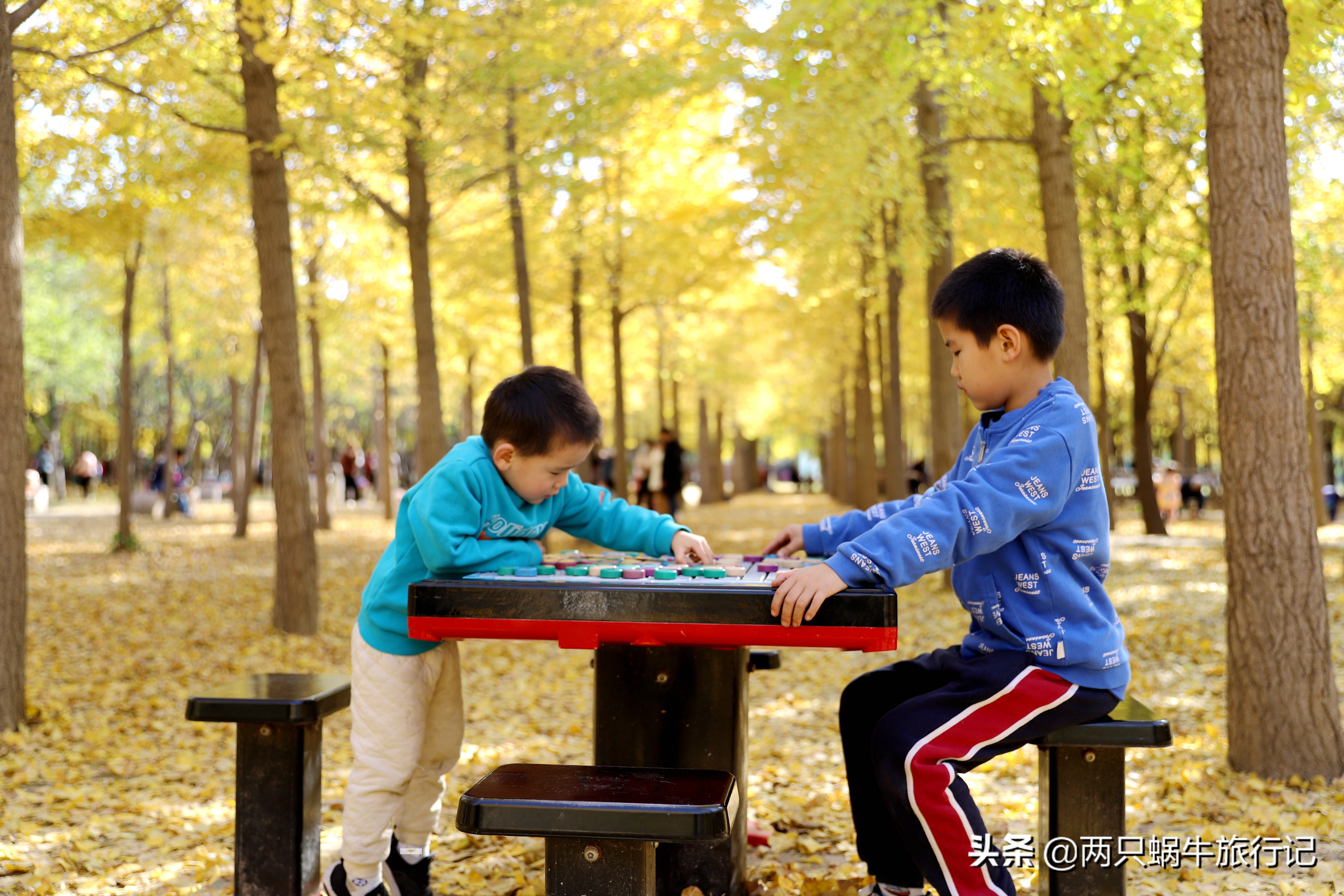 秋天落叶自然的调色盘,调色盘秋天