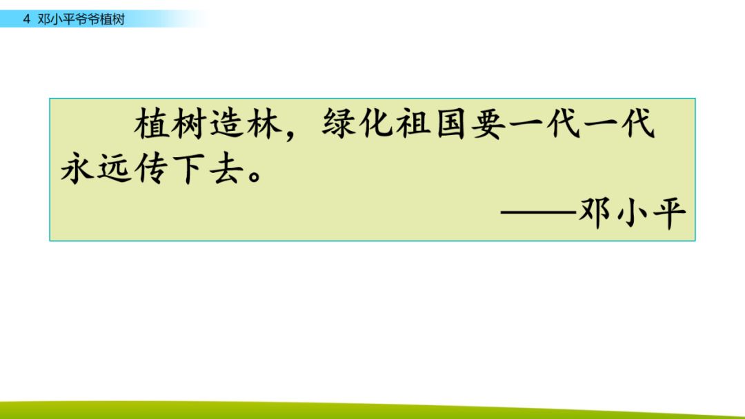 部编版二年级下册语文第4课《*小平邓**爷爷植树》知识点+图文讲解