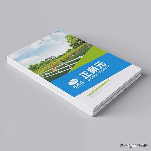 为什么说画册设计是企业最好的宣传*器武**？