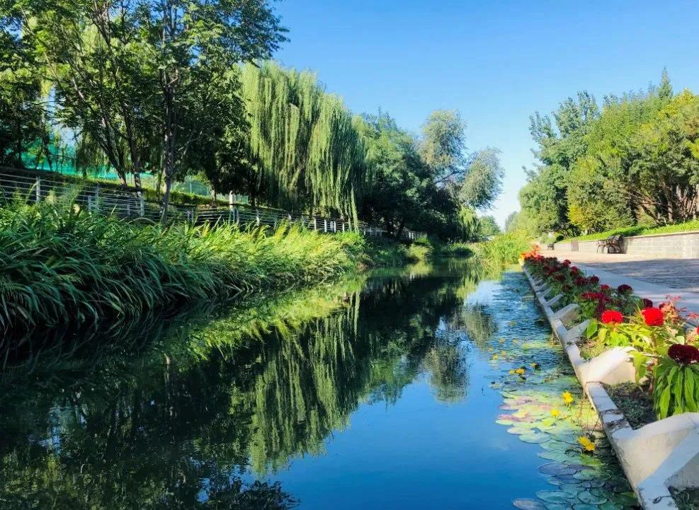 荣获乡村振兴优秀证书,2023乡村振兴成就奖