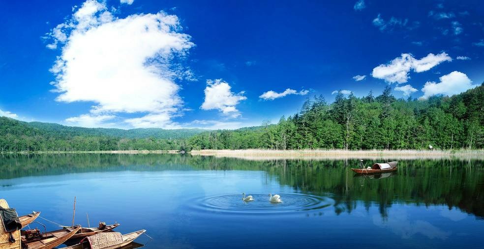 自古深情留不住唯有套路得人心gif,自古多情空余恨下一句是什么