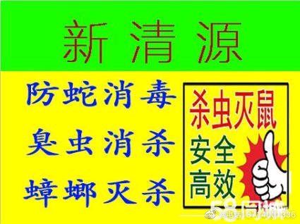 永泰县灭白蚁除虫服务机构,忠县专业灭鼠灭白蚁除蟑螂公司
