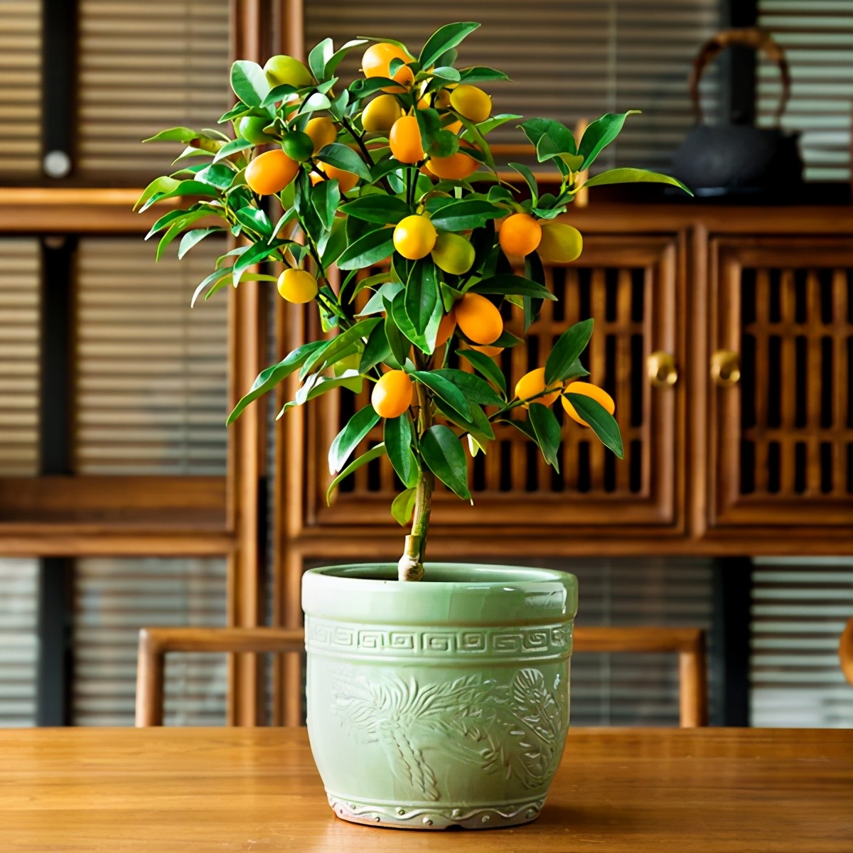 什么花寓意发财好运吉祥,寓意平安招财鸿运的干花