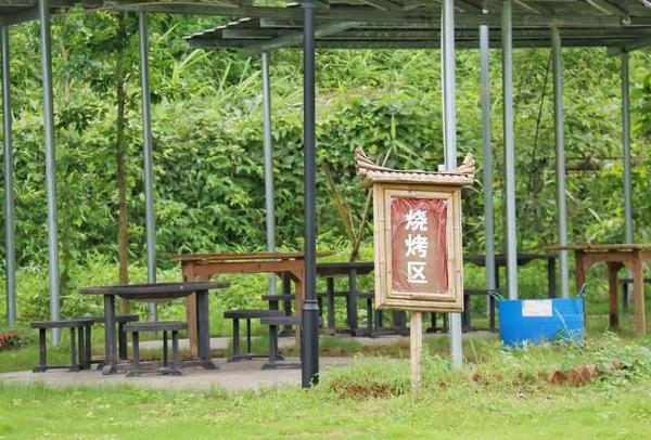 九牛洞观光生态民宿,清远山间梯田仙境森林泳池民宿