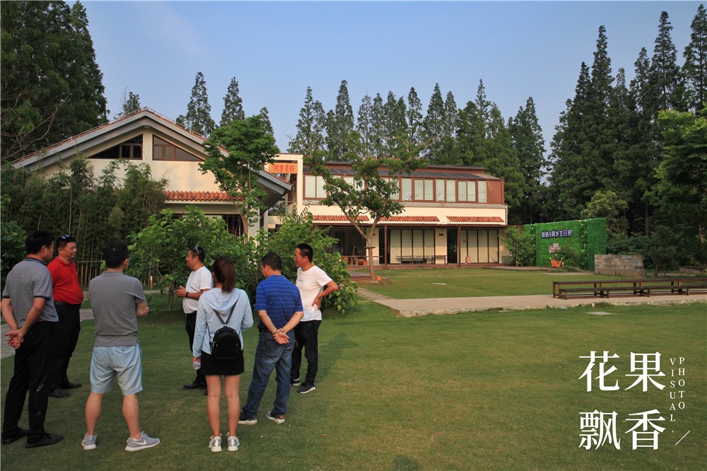 卖文化，卖创意，这家以柑橘为主题的农场好不正经