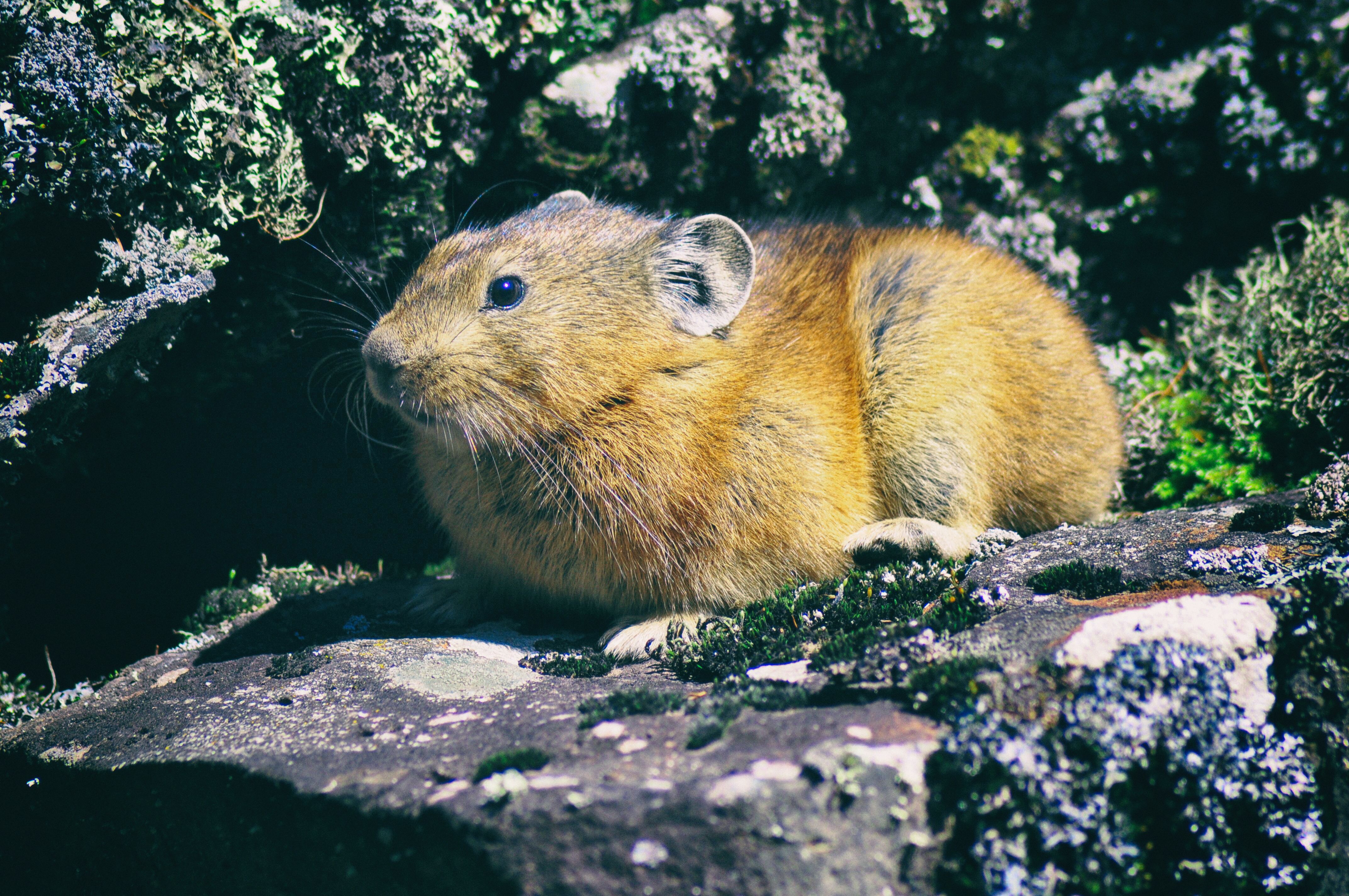 南方人自驾来东北是啥体验,15天一万公里的新疆感受