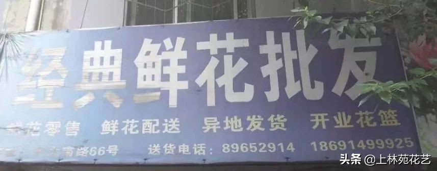 西安新年鲜花批发,西安鲜花店批发进货渠道