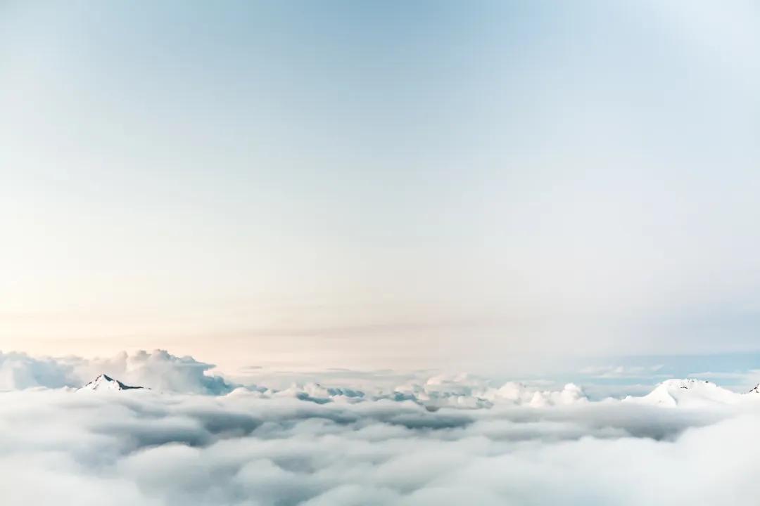 疫情下的富人穷人有哪些,疫情之下上海人的精致