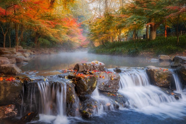 杭州必打卡景点人气榜,杭州旅游必须去的十大景点推荐