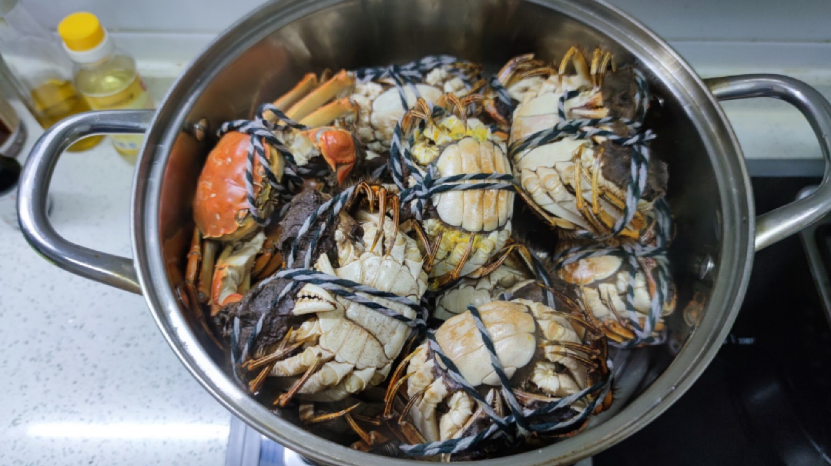 五粮春与五粮液的口感区别,五粮液五粮醇和五粮春哪一款最好