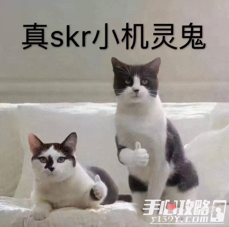 田宫模型发家史,田宫模型发展史