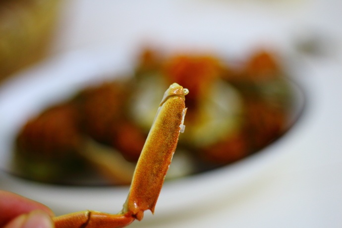 螃蟹什么季节好吃有肉,这个季节吃什么螃蟹能吃到新鲜的