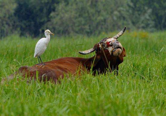 古典诗词鉴赏尔雅答案,古典诗词鉴赏辞典