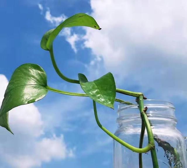 office中自带的长截图,office怎么无限截屏