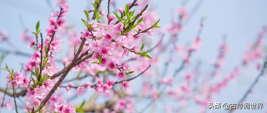 关于风花雪月的古诗词,关于春夏秋冬和风花雪月的古诗词