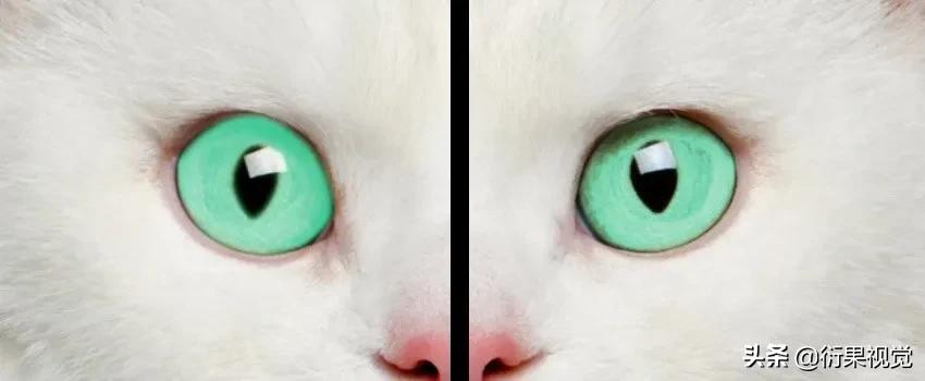 ps怎么把两只眼睛p成一样颜色,ps改图及抠图换背景颜色教程