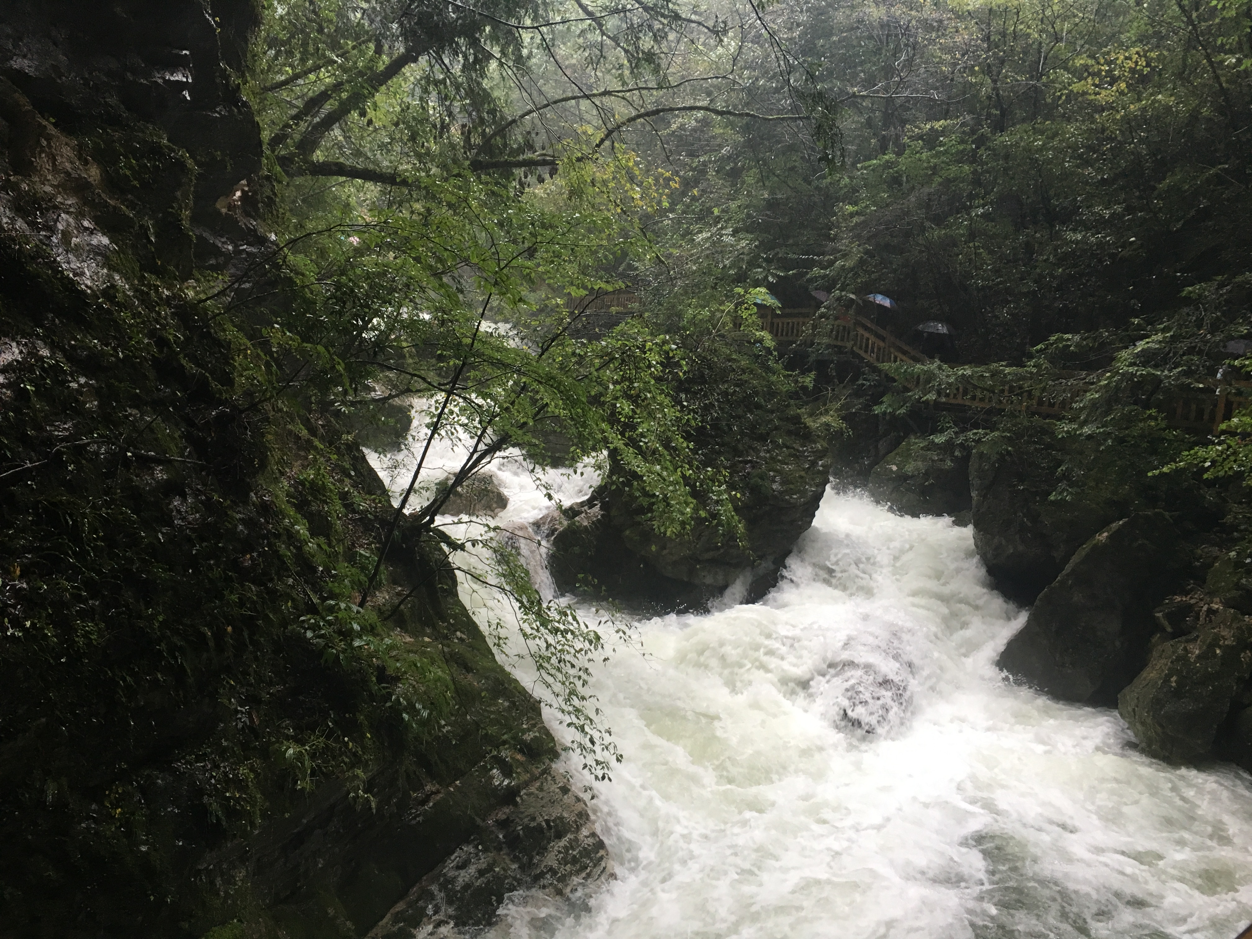 雨中神农架探秘之旅｜国庆节节武汉至神农架自驾游攻略分享