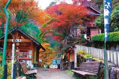 如何办理日本签证手续和签证流程,日本签证如何申请办理