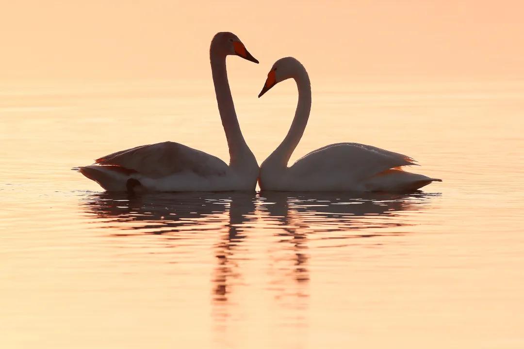塔城最好旅游季节,塔城好去处
