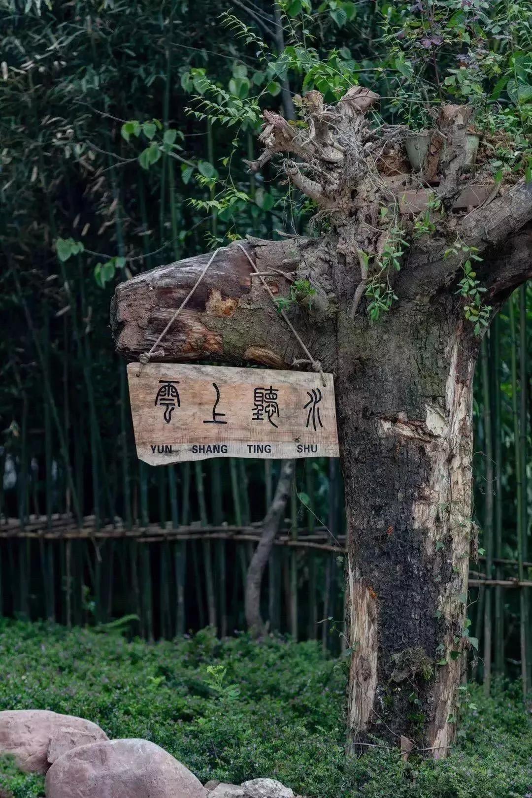 雅安周末旅游推荐,9月的第一场旅行