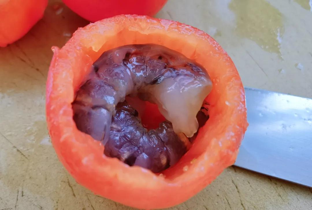 番茄大虾煲的家常做法大全,番茄无敌大虾的食谱