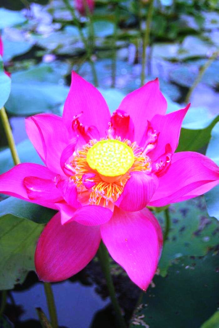 励志人生感悟正能量句子经典,正能量励志豪情经典语录