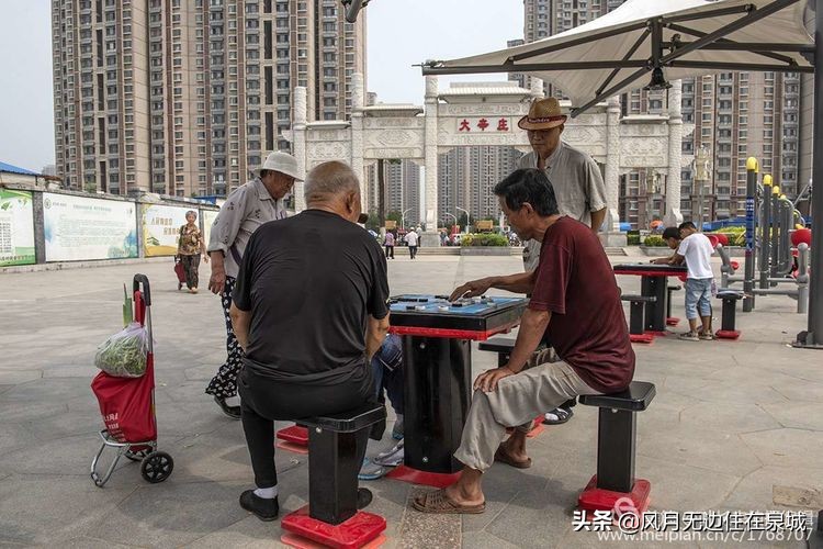 济南的法国梧桐,济南梧桐树美景