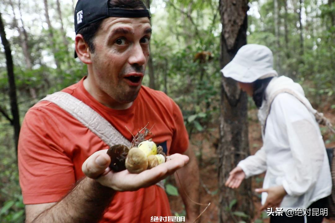 她带西班牙大厨上山捡菌，回昆明后煲出美味红菇汤