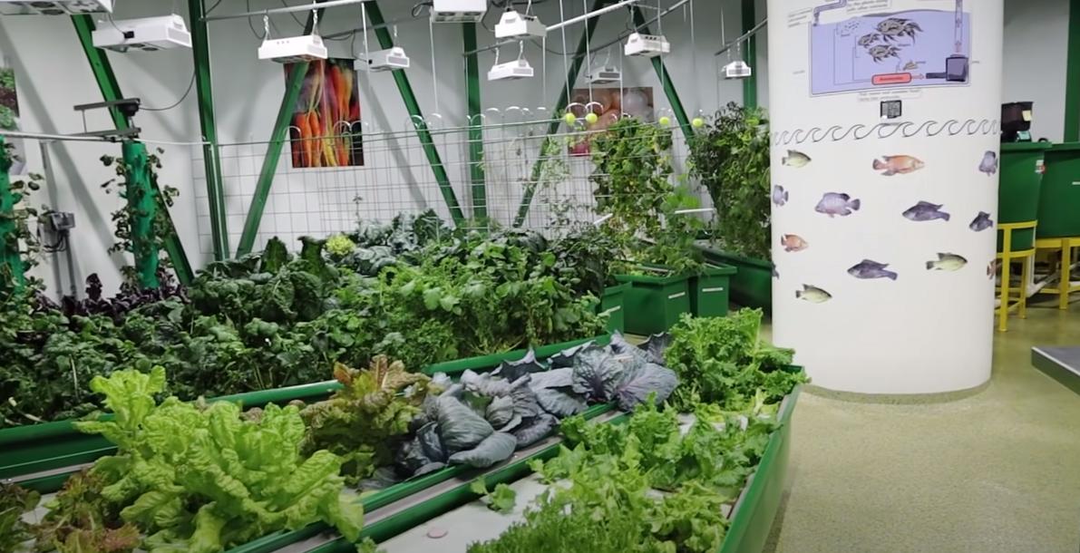 世界末日避难所内景,美国末日避难所建造电影