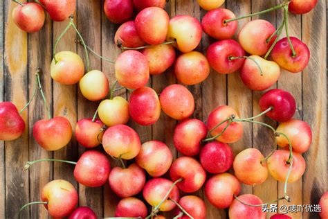 2023智利车厘子最新消息,目前智利车厘子已进入到货高峰期