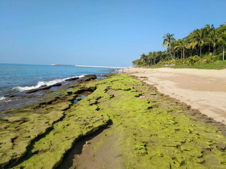 一个人三亚湾最便宜的住宿,三亚的三亚湾候鸟住宿介绍
