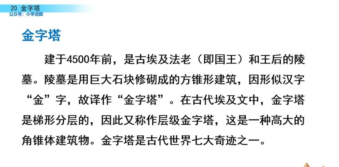 部编版五年级下册语文金字塔教案,语文书五年级下册第20课课后练习